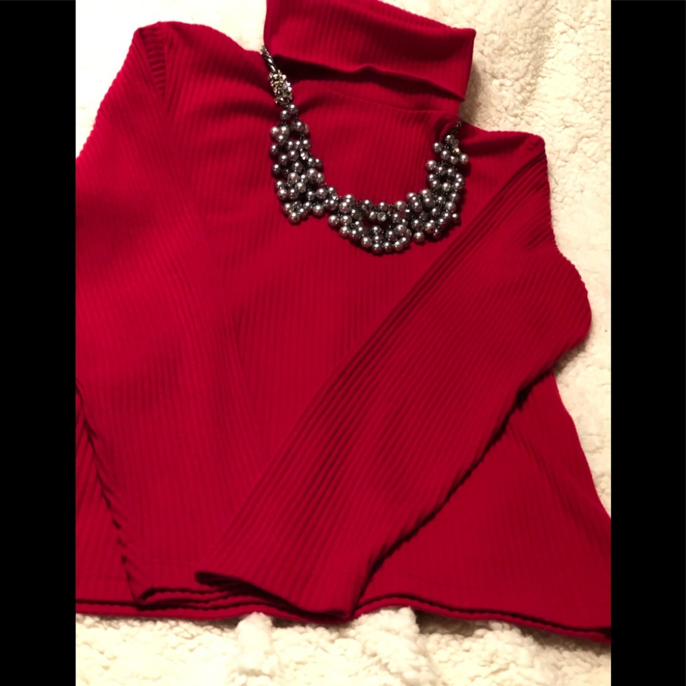 EXPRESS TRICOAT TURTLENECK
